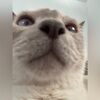 sarahnicole25